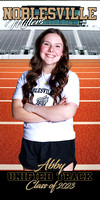 Abby Pittman Banner