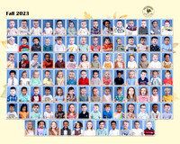 Whole School Composite