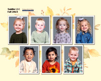 Toddler 2C Composite