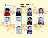 Terrific Tigers Composite